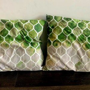 Accent/Decorative cushions | Green | 18 x 18 inches